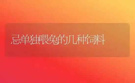 忌单独喂兔的几种饲料 | 动物养殖饲料