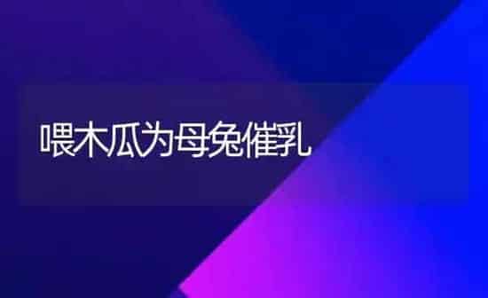 喂木瓜为母兔催乳 | 家畜养殖