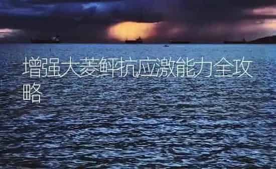 增强大菱鲆抗应激能力全攻略 | 海水养殖