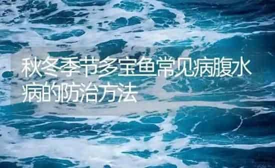 秋冬季节多宝鱼常见病腹水病的防治方法 | 海水养殖