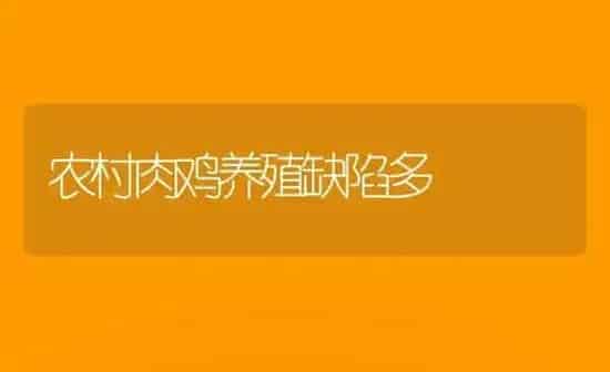 农村肉鸡养殖缺陷多 | 家禽养殖