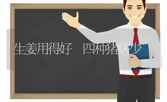 生姜用得好 四种猪病少 | 家畜养殖