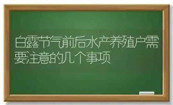 白露节气前后水产养殖户需要注意的几个事项 | 动物养殖百科