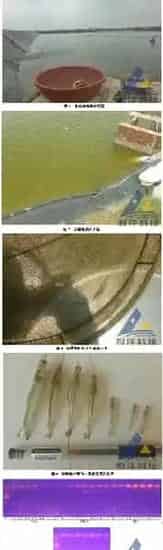 南美白对虾生长缓慢、偷死，检测出传染性皮下与造血器官坏死病毒一例
