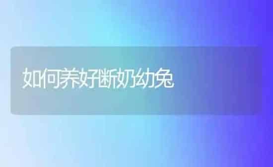 如何养好断奶幼兔 | 家畜养殖