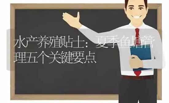 水产养殖贴士：夏季鱼塘管理五个关键要点 | 动物养殖百科