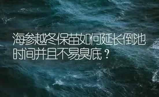 海参越冬保苗如何延长倒池时间并且不易臭底？ | 海水养殖
