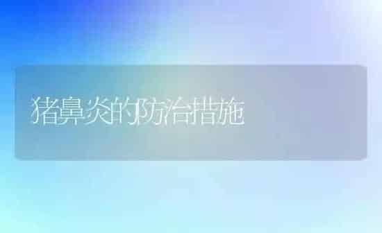 猪鼻炎的防治措施 | 家畜养殖