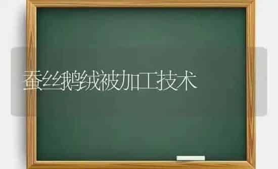 蚕丝鹅绒被加工技术 | 家禽养殖