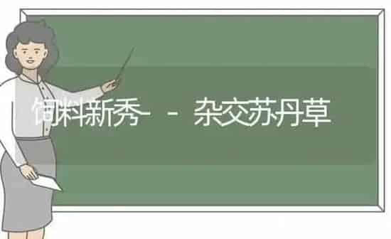 饲料新秀--杂交苏丹草 | 动物养殖饲料