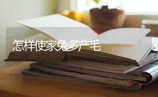 怎样使家兔多产毛 | 家畜养殖