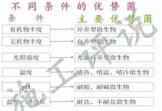 水产养殖户怎么用菌才能达到以菌抑菌的目的？