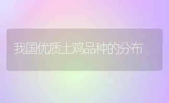 我国优质土鸡品种的分布 | 家禽养殖