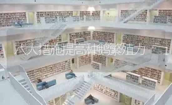 八大措施提高种鹅繁殖力 | 家禽养殖