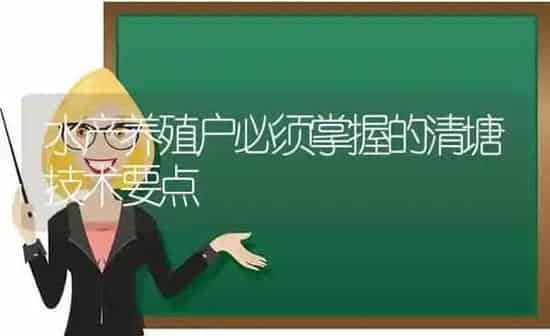 水产养殖户必须掌握的清塘技术要点 | 动物养殖百科