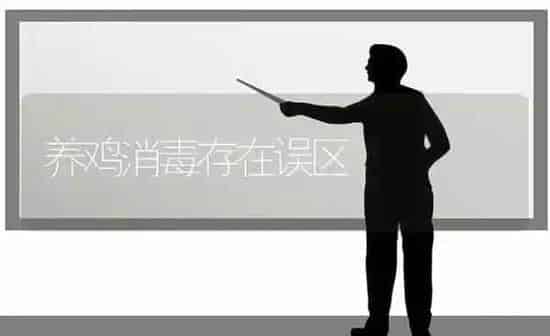 养鸡消毒存在误区 | 家禽养殖