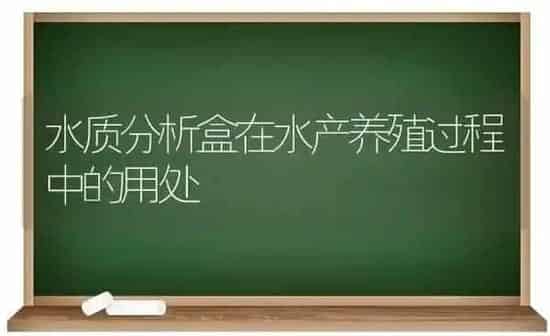 水质分析盒在水产养殖过程中的用处 | 动物养殖百科