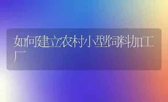 如何建立农村小型饲料加工厂 | 动物养殖饲料