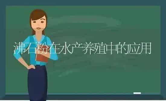 沸石粉在水产养殖中的应用 | 动物养殖百科