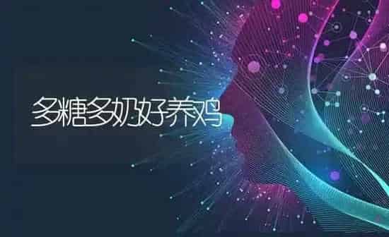 多糖多奶好养鸡 | 家禽养殖