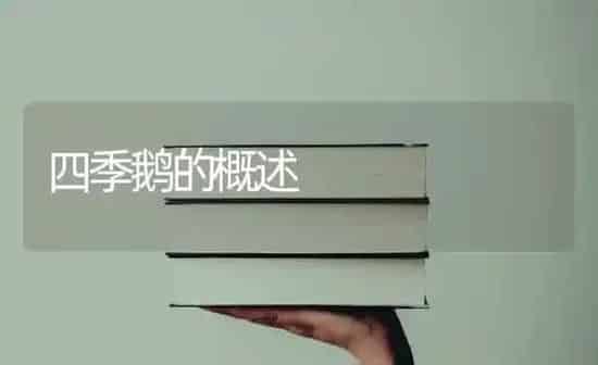 四季鹅的概述 | 家禽养殖