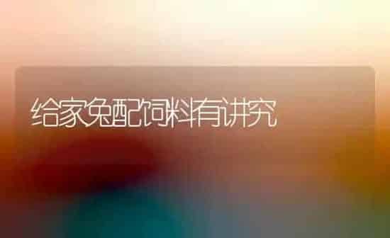 给家兔配饲料有讲究 | 动物养殖饲料