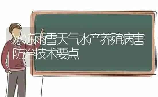 冰冻雨雪天气水产养殖病害防治技术要点 | 动物养殖百科