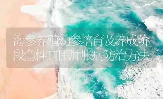 海参养殖幼参培育及养成阶段急性口围肿胀病防治方法 | 海水养殖