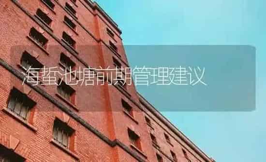 海蜇池塘前期管理建议 | 海水养殖