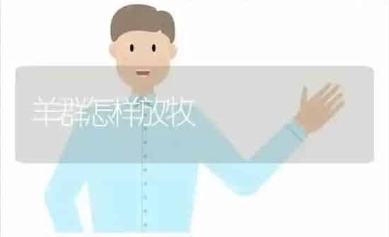 羊群怎样放牧 | 家畜养殖