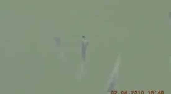 实践+理论｜关于加州鲈苗期管理的要点都在这里
