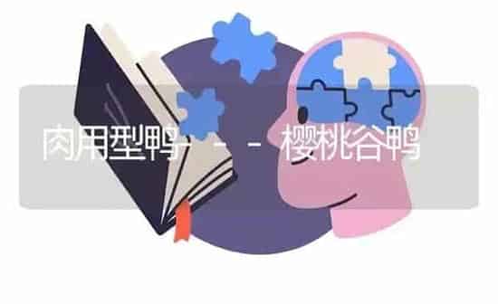 肉用型鸭---樱桃谷鸭 | 家禽养殖