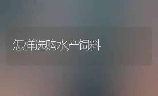 怎样选购水产饲料 | 动物养殖饲料