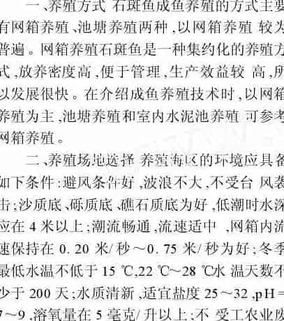 石斑成鱼养殖技术