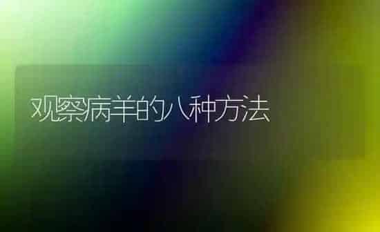 观察病羊的八种方法 | 家畜养殖
