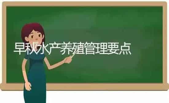 早秋水产养殖管理要点 | 动物养殖百科