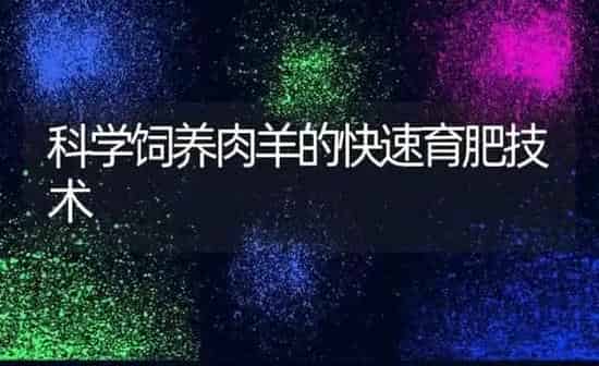 科学饲养肉羊的快速育肥技术 | 家畜养殖