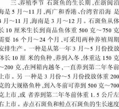 石斑成鱼养殖技术