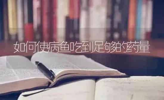 如何使病鱼吃到足够的药量 | 养殖病虫害防治