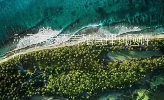 秋季海参圈养殖管理问题解析 | 海水养殖