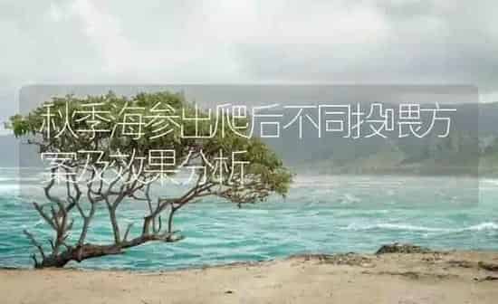 秋季海参出爬后不同投喂方案及效果分析 | 海水养殖