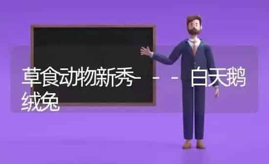 草食动物新秀---白天鹅绒兔 | 家禽养殖