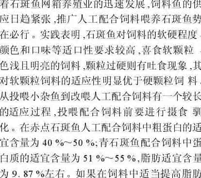 石斑成鱼养殖技术