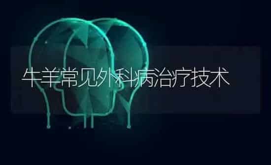 牛羊常见外科病治疗技术 | 家畜养殖
