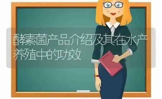 酵素菌产品介绍及其在水产养殖中的功效 | 动物养殖百科