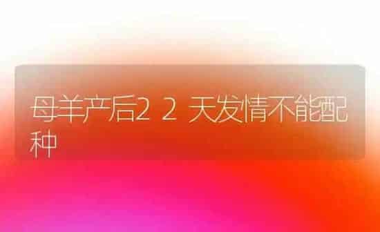 母羊产后22天发情不能配种 | 家畜养殖