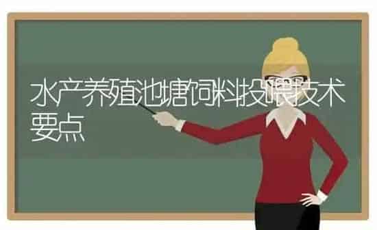 水产养殖池塘饲料投喂技术要点 | 动物养殖百科