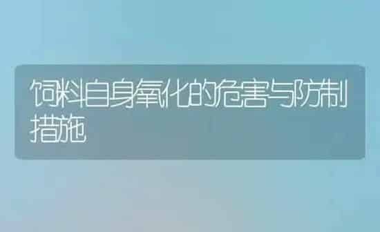 饲料自身氧化的危害与防制措施 | 动物养殖饲料