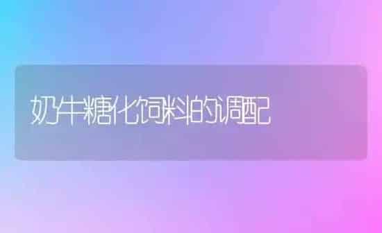 奶牛糖化饲料的调配 | 动物养殖饲料