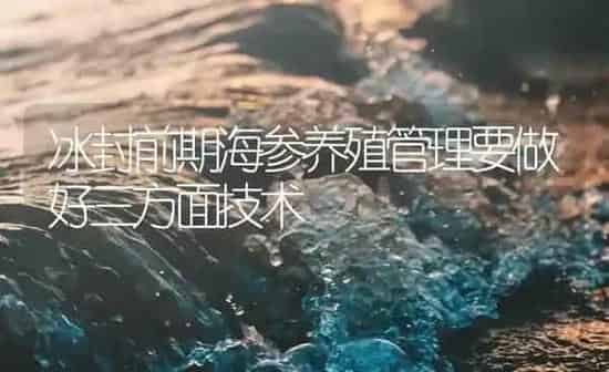 冰封前期海参养殖管理要做好三方面技术 | 海水养殖